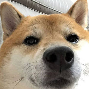 Meet your Posher, Miles